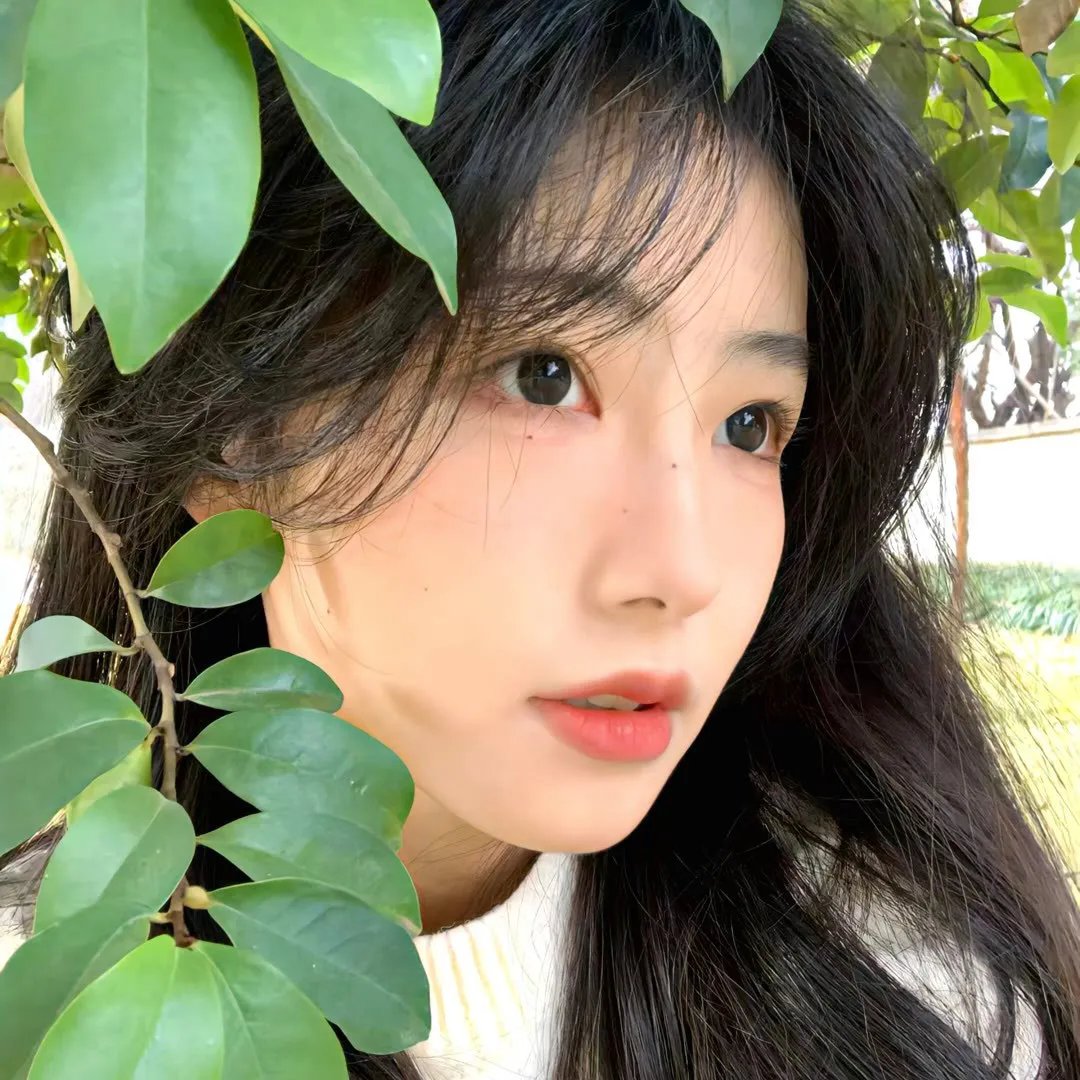 青春检察官